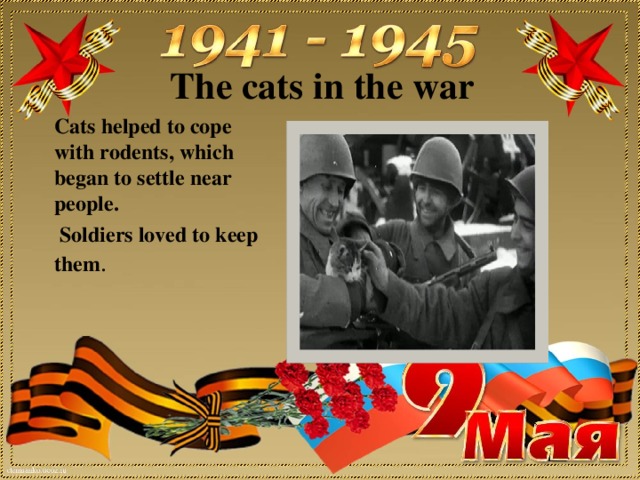 The cats in the war Cats helped to cope with rodents, which began to settle near people.  Soldiers loved to keep them .