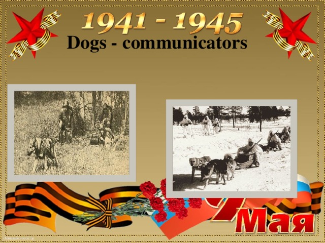Dogs - communicators They paved 8 thousand miles of telephone wire.