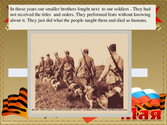 In those years our smaller brothers fought next to our soldiers . They had not received the titles and orders. They performed feats without knowing about it. They just did what the people taught them and died as humans.