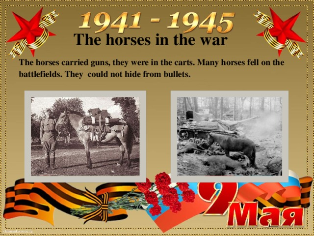 The horses in the war The horses carried guns, they were in the carts. Many horses fell on the battlefields. They could not hide from bullets.