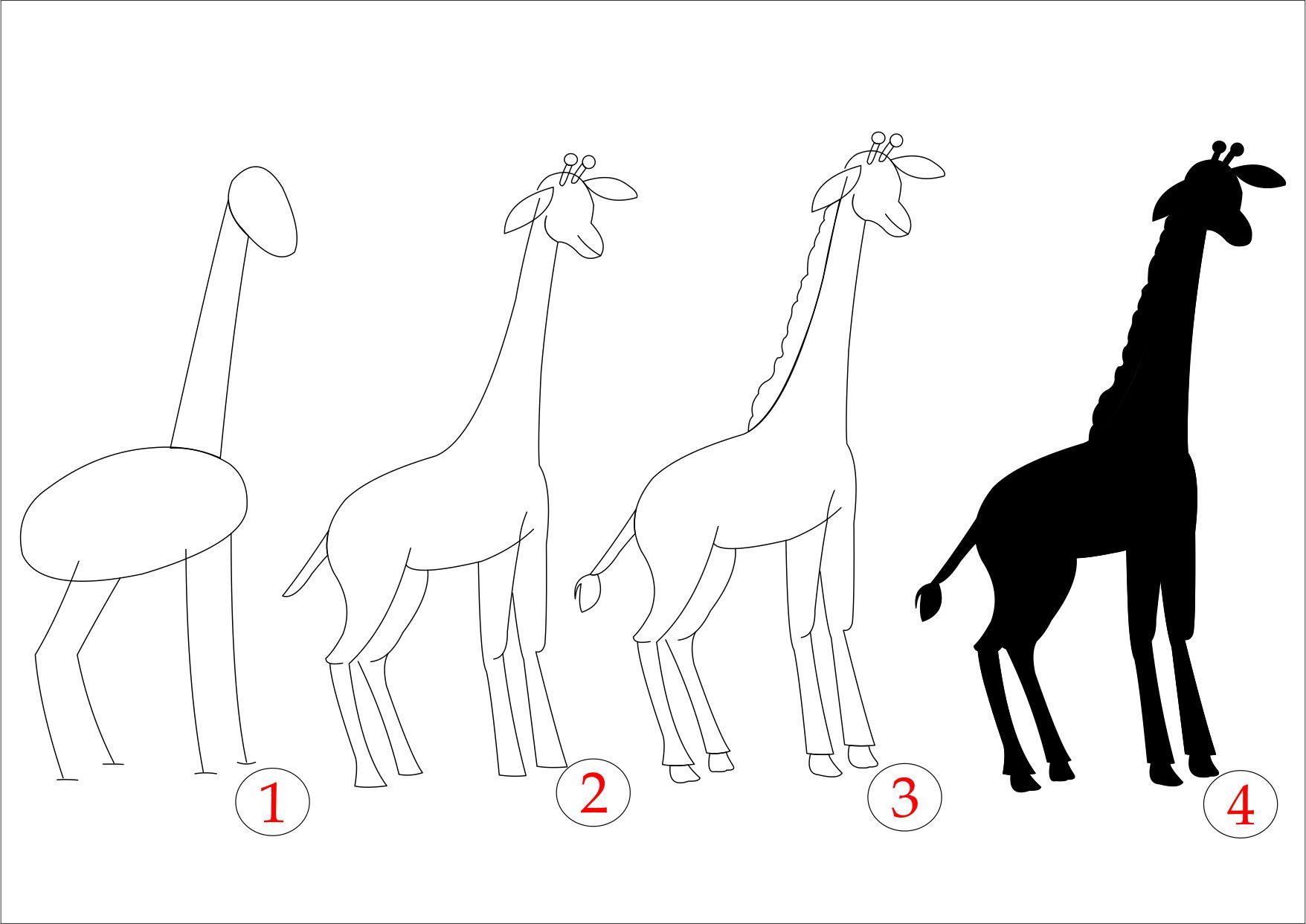 Почему появились целые школы рисования силуэтов. Урок рисования жирафа. Поэтапное рисование жирафа. Рисование Жираф старшая группа. Рисование жирафа в старшей группе.