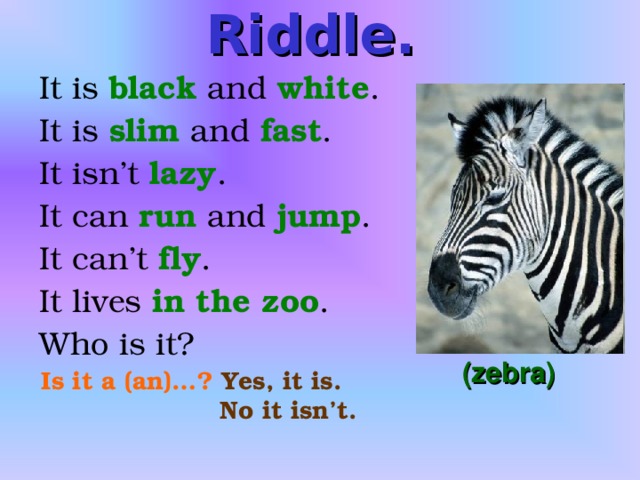 Riddle.  It is black and white . It is slim and fast . It isn’t lazy . It can run and jump . It can’t fly . It lives in the zoo . Who is it?  (zebra) Is it a (an)…?  Yes, it is.  No it isn’t.