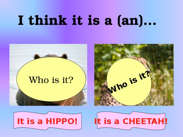 Who is it? I think it is a (an)… Who is it? It is a HIPPO! It is a CHEETAH!