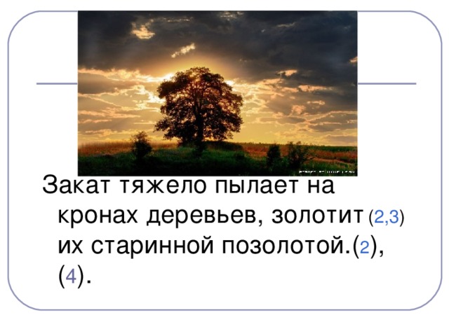 Закат тяжело пылает на кронах деревьев, золотит  ( 2,3 ) их старинной позолотой.( 2 ),( 4 ).