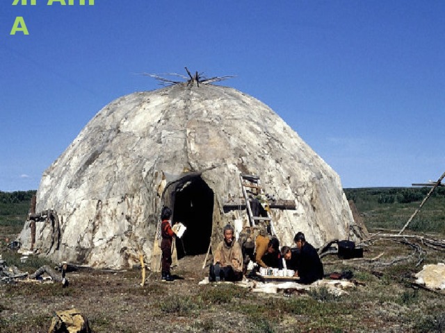 ЯРАНГА На Чукотке у народов северного ранга  Домом называется круглая...