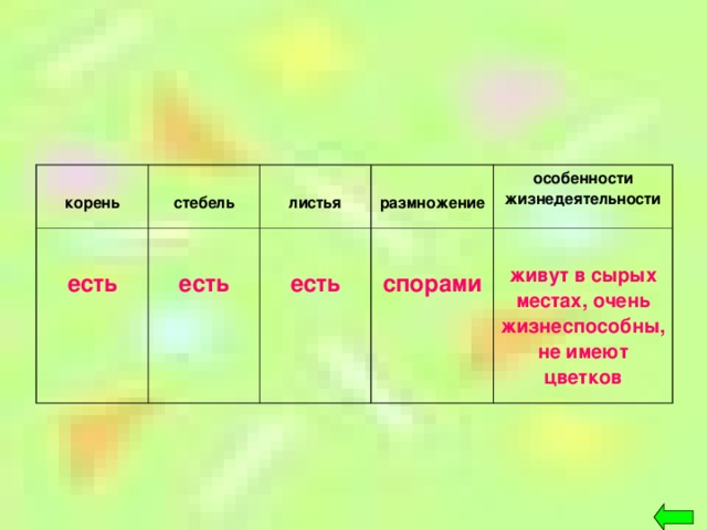 корень  стебель  есть  листья  есть  размножение  есть особенности жизнедеятельности  спорами  живут в сырых местах, очень жизнеспособны, не имеют цветков