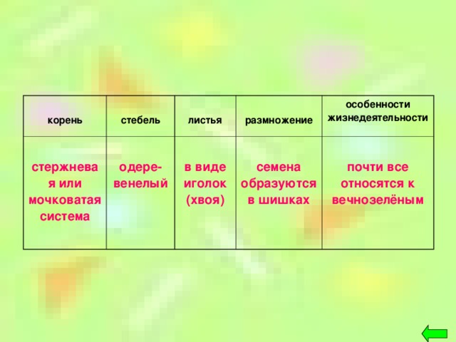 корень  стебель  стержневая или мочковатая система  листья  одере-венелый  размножение  в виде иголок (хвоя) особенности жизнедеятельности  семена образуются в шишках  почти все относятся к вечнозелёным