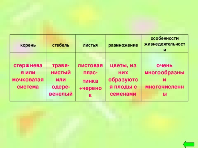 корень  стебель  стержневая или мочковатая система  листья  травя-нистый или одере-венелый  размножение  листоваяплас- тинка +черенок особенности жизнедеятельности  цветы, из них образуются плоды с семенами  очень многообразны и многочисленны