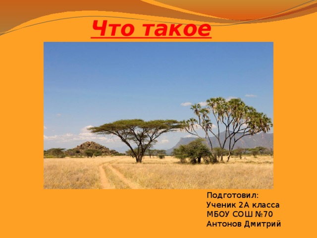 Что такое саванны? Подготовил: Ученик 2А класса МБОУ СОШ №70 Антонов Дмитрий