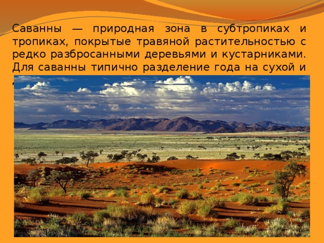 Саванны — природная зона в субтропиках и тропиках, покрытые травяной растительностью с редко разбросанными деревьями и кустарниками. Для саванны типично разделение года на сухой и дождливый сезоны.