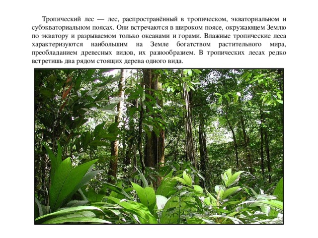 Тропический лес — лес, распространённый в тропическом, экваториальном и субэкваториальном поясах. Они встречаются в широком поясе, окружающем Землю по экватору и разрываемом только океанами и горами. Влажные тропические леса характеризуются наибольшим на Земле богатством растительного мира, преобладанием древесных видов, их разнообразием. В тропических лесах редко встретишь два рядом стоящих дерева одного вида.