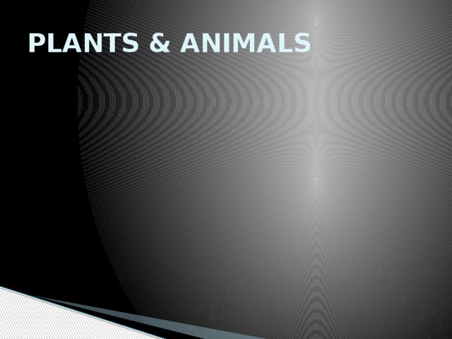 PLANTS & ANIMALS