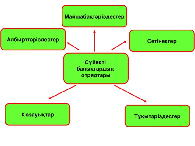 Майшабақтәріздестер Албырттәріздестер Сетінектер Сүйекті балықтардың отрядтары Көзауықтар Тұқытәріздестер