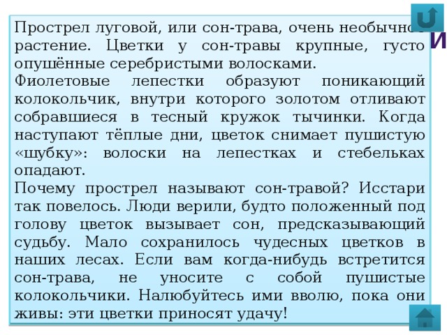 Прострел луговой, или сон-трава, очень необычное растение. Цветки у сон-травы крупные, густо опушённые серебристыми волосками. Фиолетовые лепестки образуют поникающий колокольчик, внутри которого золотом отливают собравшиеся в тесный кружок тычинки. Когда наступают тёплые дни, цветок снимает пушистую «шубку»: волоски на лепестках и стебельках опадают. Почему прострел называют сон-травой? Исстари так повелось. Люди верили, будто положенный под голову цветок вызывает сон, предсказывающий судьбу. Мало сохранилось чудесных цветков в наших лесах. Если вам когда-нибудь встретится сон-трава, не уносите с собой пушистые колокольчики. Налюбуйтесь ими вволю, пока они живы: эти цветки приносят удачу! Прострел луговой Поздравляю! Ты справился!  Узнать больше