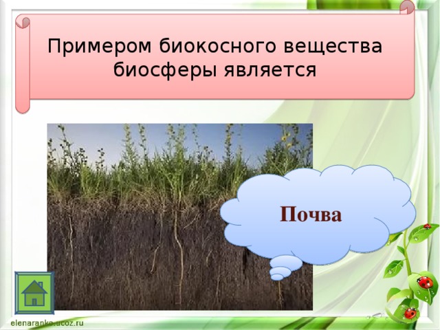 Примером биокосного вещества биосферы является Почва