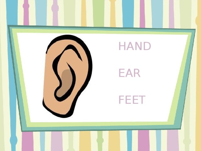 HAND EAR FEET