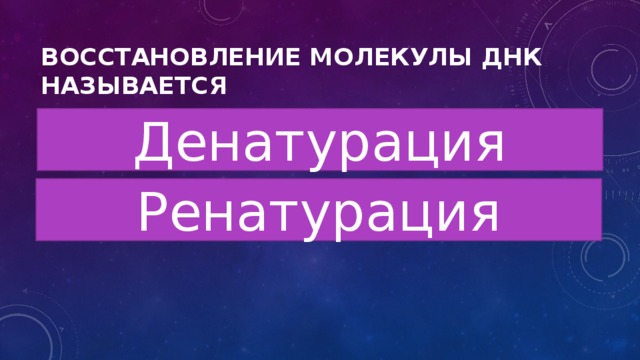 Восстановление молекулы ДНК называется Денатурация Ренатурация