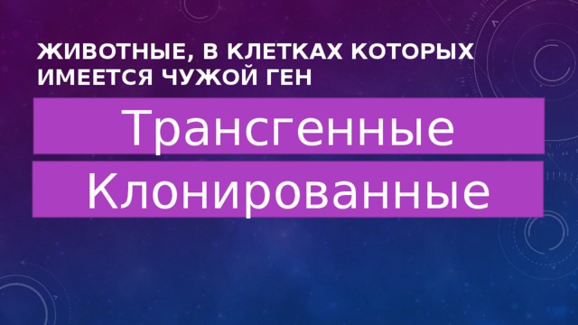 Животные, в клетках которых имеется чужой ген Трансгенные Клонированные