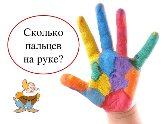 Сколько пальцев на руке?