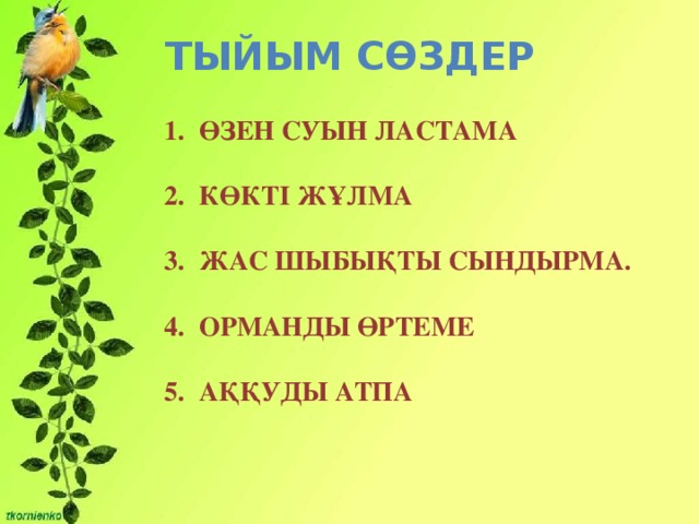 Тыйым сөздер Өзен суын ластама Өзен суын ластама Өзен суын ластама  Көкті жұлма Көкті жұлма Көкті жұлма  Жас шыбықты сындырма. Жас шыбықты сындырма. Жас шыбықты сындырма.  Орманды өртеме Орманды өртеме Орманды өртеме