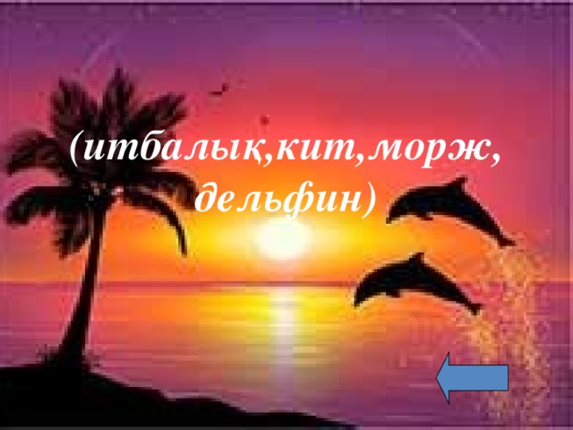 (итбалық,кит,морж,  дельфин)