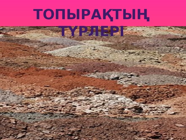 Топырақтың түрлері