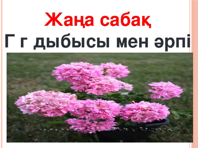 Жаңа сабақ Г г дыбысы мен әрпі