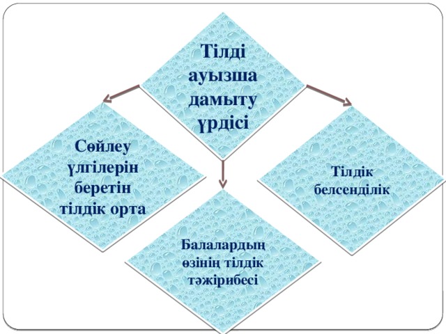 Тілді ауызша дамыту үрдісі Сөйлеу үлгілерін беретін тілдік орта Тілдік белсенділік Балалардың өзінің тілдік тәжірибесі