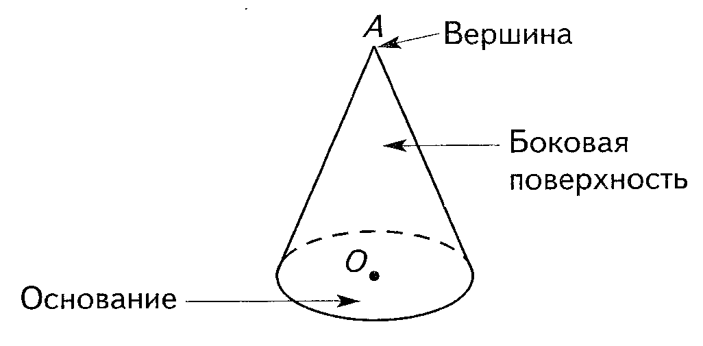 На рисунке показан чертеж прямоугольного конуса отрезок sb является