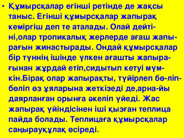 Құмырсқалар егінші ретінде де жақсы таныс. Егінші құмырсқалар жапырақ кеміргіш деп те аталады. Олай дейті-ні,олар тропикалық жерлерде ағаш жапы-рағын жинастырады. Ондай құмырсқалар бір түннің ішінде үлкен ағашты жапыра-ғынан жұрдай етіп,сидытып кетуі мүм-кін.Бірақ олар жапырақты, түйірлеп бө-ліп-бөліп өз ұяларына жеткізеді де,арна-йы даярланған орынға әкеліп үйеді. Жас жапырақ үйіндісінен іші қызған теплица пайда болады. Теплицаға құмырсқалар саңырауқұлақ өсіреді.