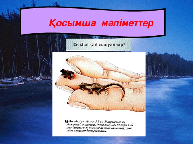 Қосымша мәліметтер