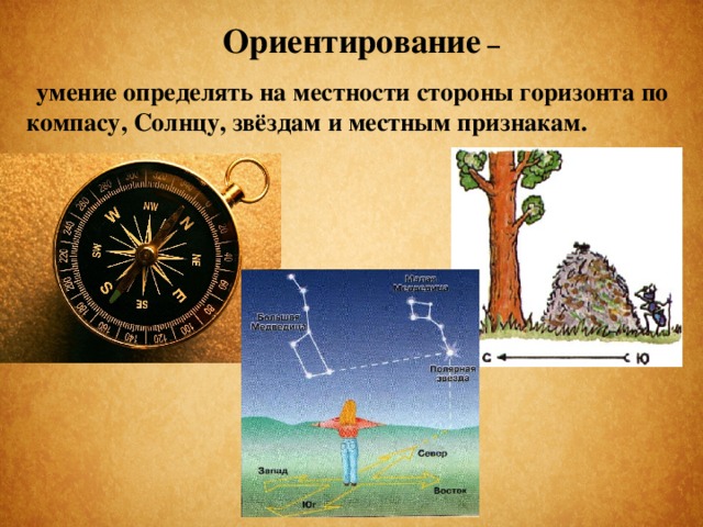 Ориентирование – умение определять на местности стороны горизонта по компасу, Солнцу, звёздам и местным признакам.