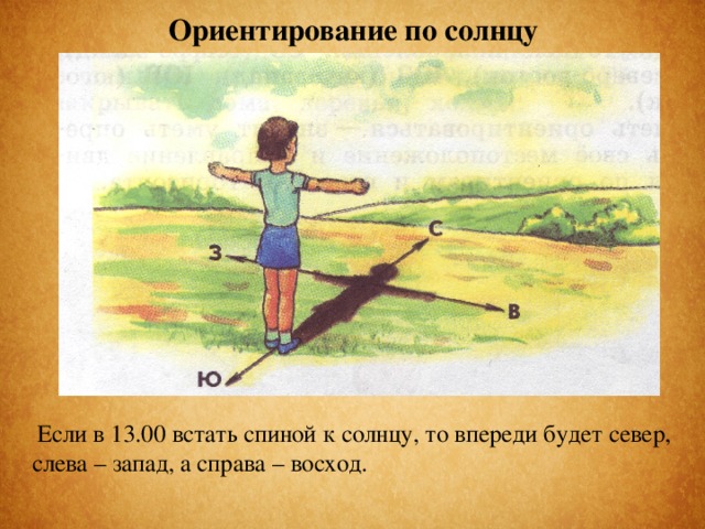 Ориентирование по солнцу Если в 13.00 встать спиной к солнцу, то впереди будет север, слева – запад, а справа – восход.