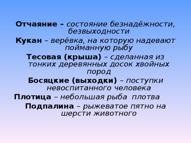 Отчаяние – состояние безнадёжности, безвыходности Кукан – верёвка, на которую надевают пойманную рыбу Тесовая (крыша) – сделанная из тонких деревянных досок хвойных пород Босяцкие (выходки) – поступки невоспитанного человека Плотица – небольшая рыба плотва  Подпалина – рыжеватое пятно на шерсти животного  