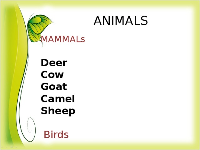 ANIMALS MAMMALs Deer Cow Goat Camel Sheep   Birds  Peacock  Penguin  Hen  Goose  Budgie  Insects Ant Bee Mosquito Fly