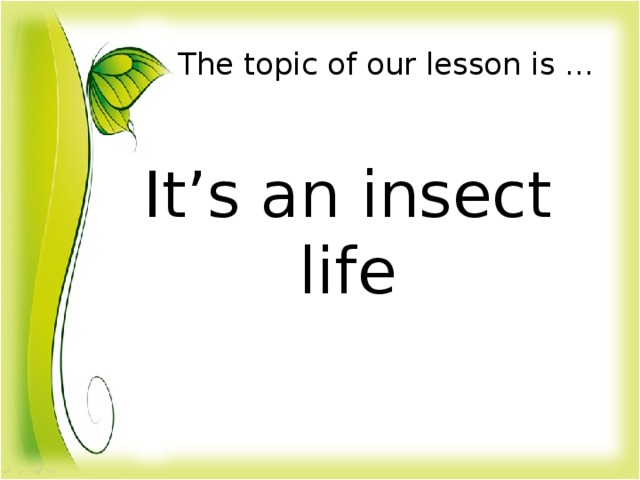 The topic of our lesson is … It’s an insect life