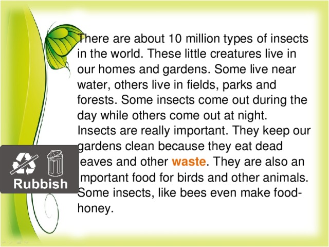 There are about 10 million types of insects in the world. These little creatures live in our homes and gardens. Some live near water, others live in fields, parks and forests. Some insects come out during the day while others come out at night.  Insects are really important. They keep our gardens clean because they eat dead leaves and other waste . They are also an important food for birds and other animals. Some insects, like bees even make food- honey.