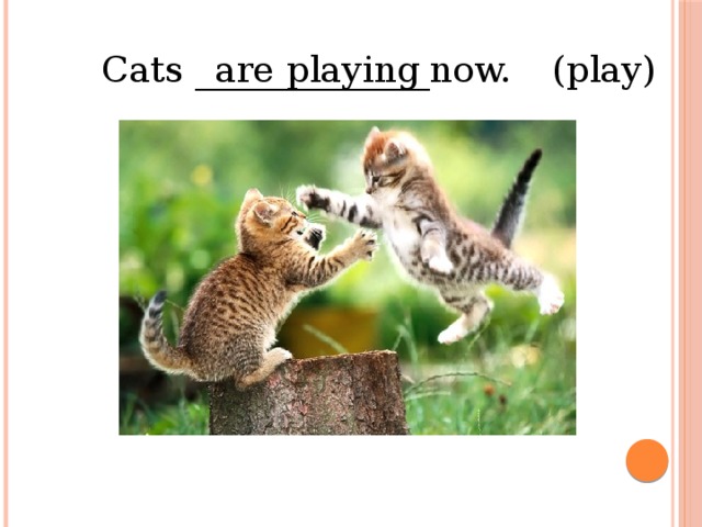 (play) are playing Cats _____________now.