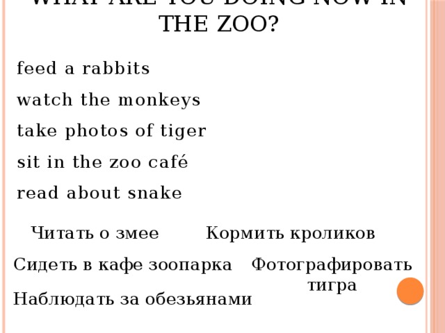 What are you doing now in the zoo? feed a rabbits watch the monkeys take photos of tiger sit in the zoo café read about snake Читать о змее Кормить кроликов Фотографировать тигра Сидеть в кафе зоопарка Наблюдать за обезьянами