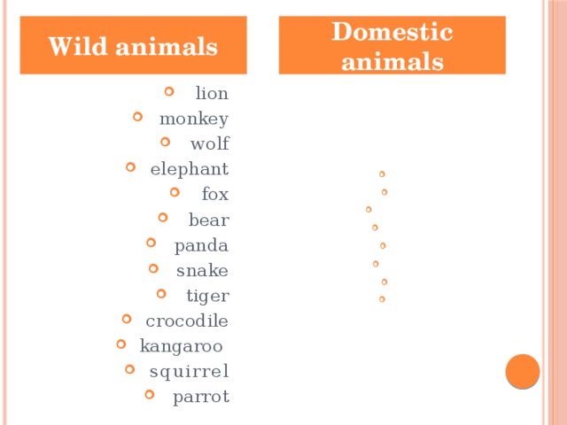 wild animals domestic animals