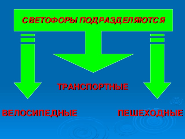 СВЕТОФОРЫ ПОДРАЗДЕЛЯЮТСЯ ТРАНСПОРТНЫЕ ВЕЛОСИПЕДНЫЕ ПЕШЕХОДНЫЕ