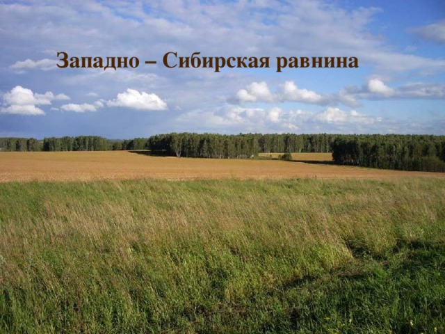 Западно – Сибирская равнина