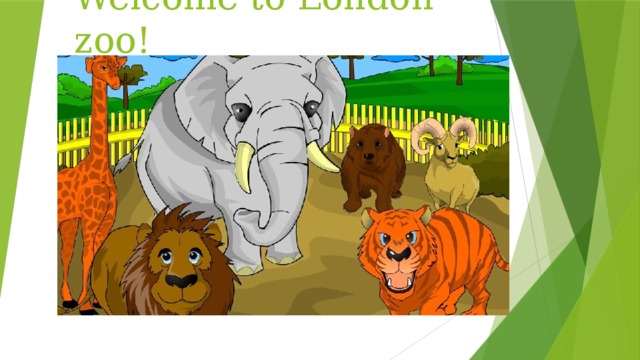 Welcome to London zoo!