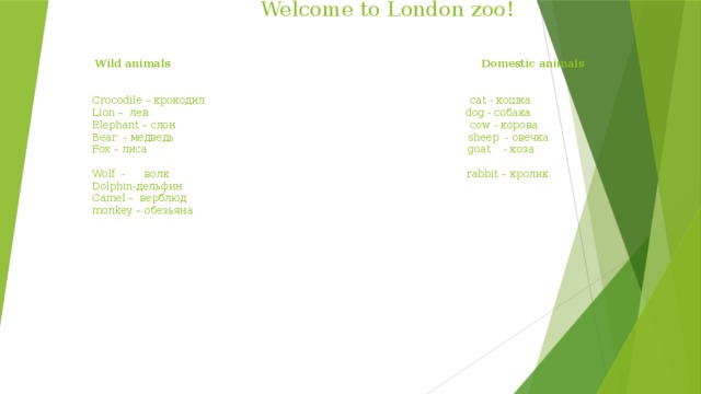 Welcome to London zoo!      Wild animals Domestic animals     Crocodile – крокодил cat - кошка  Lion – лев dog - собака  Elephant – слон cow - корова  Bear - медведь sheep - овечка  Fox – лиса goat - коза  Wolf - волк rabbit – кролик  Dolphin-дельфин  Camel – верблюд  monkey – обезьяна