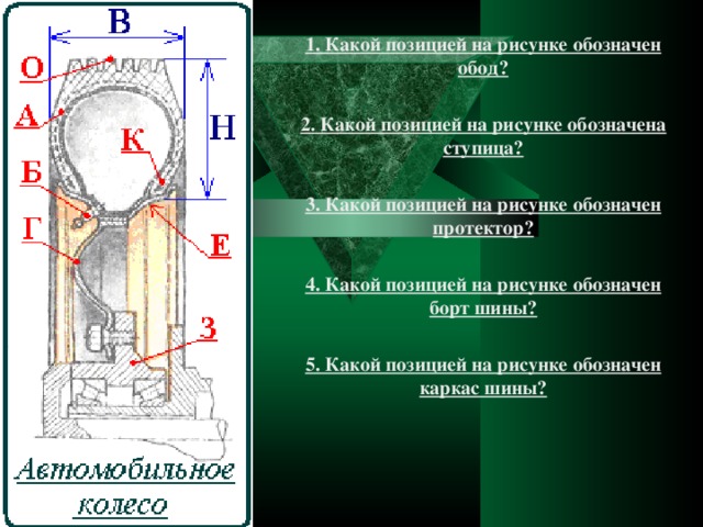 1. Какой позицией на рисунке обозначен обод?   2. Какой позицией на рисунке обозначена ступица?   3. Какой позицией на рисунке обозначен протектор?   4. Какой позицией на рисунке обозначен борт шины?   5. Какой позицией на рисунке обозначен каркас шины?