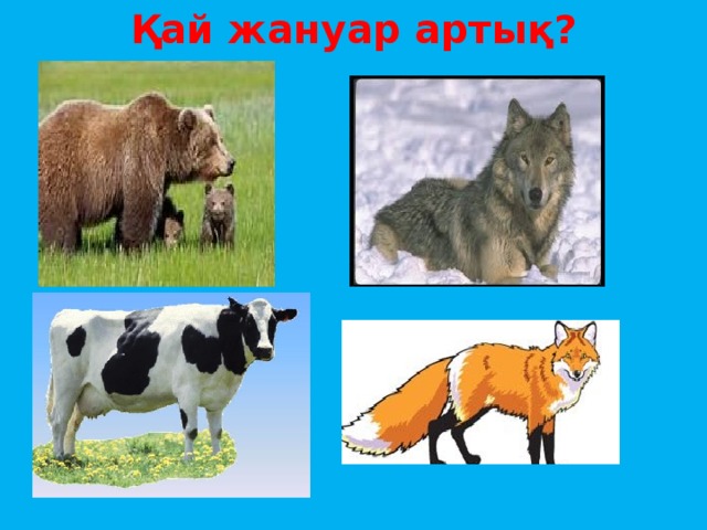 Қай жануар артық?