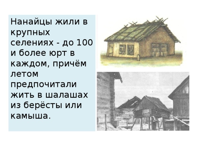 Нанайцы жили в крупных селениях - до 100 и более юрт в каждом, причём летом предпочитали жить в шалашах из берёсты или камыша.