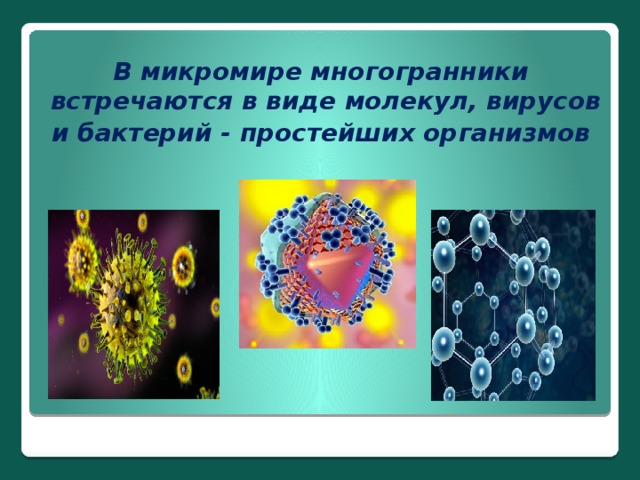 В микромире многогранники встречаются в виде молекул, вирусов и бактерий - простейших организмов