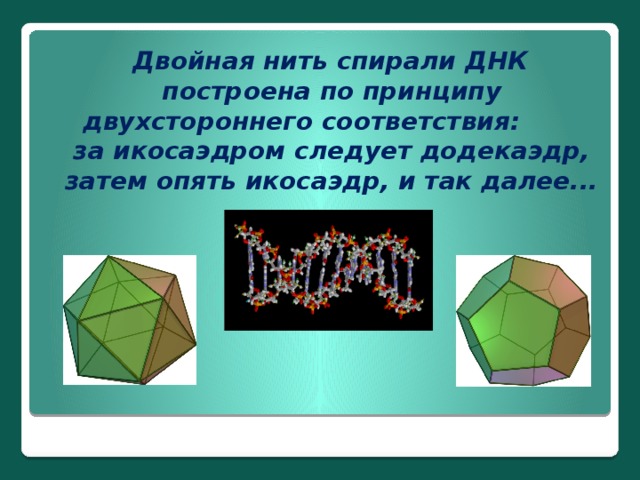 Двойная нить спирали ДНК построена по принципу двухстороннего соответствия: за икосаэдром следует додекаэдр, затем опять икосаэдр, и так далее...