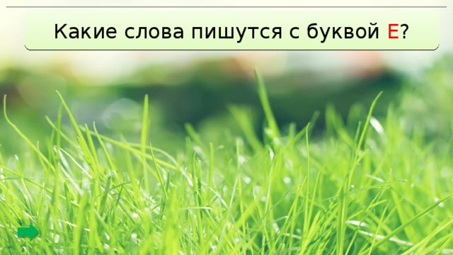 Какие слова пишутся с буквой Е ? м е дведь м.дведь помидор пом.дор п е нал п.нал